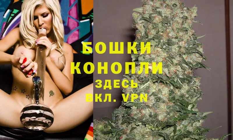 МАРИХУАНА SATIVA & INDICA  где найти   ссылка на мегу как зайти  Суоярви 